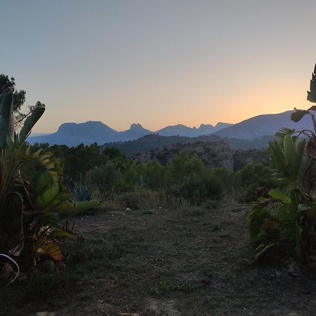 Finca Caracol Bolulla المظهر الخارجي الصورة