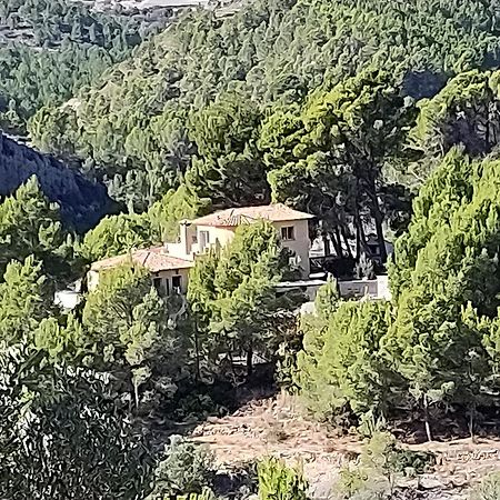 Finca Caracol Bolulla المظهر الخارجي الصورة