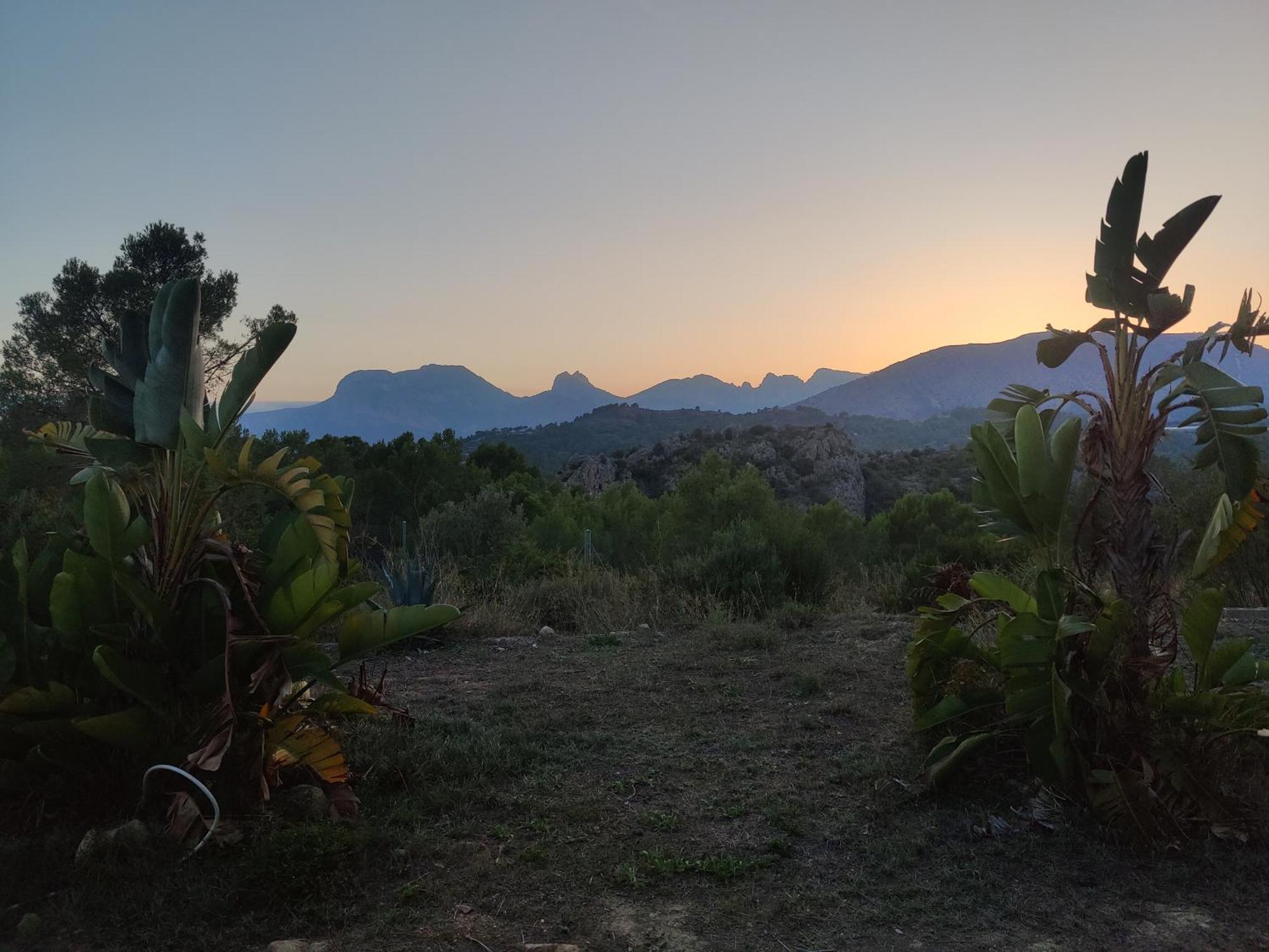 Finca Caracol Bolulla المظهر الخارجي الصورة