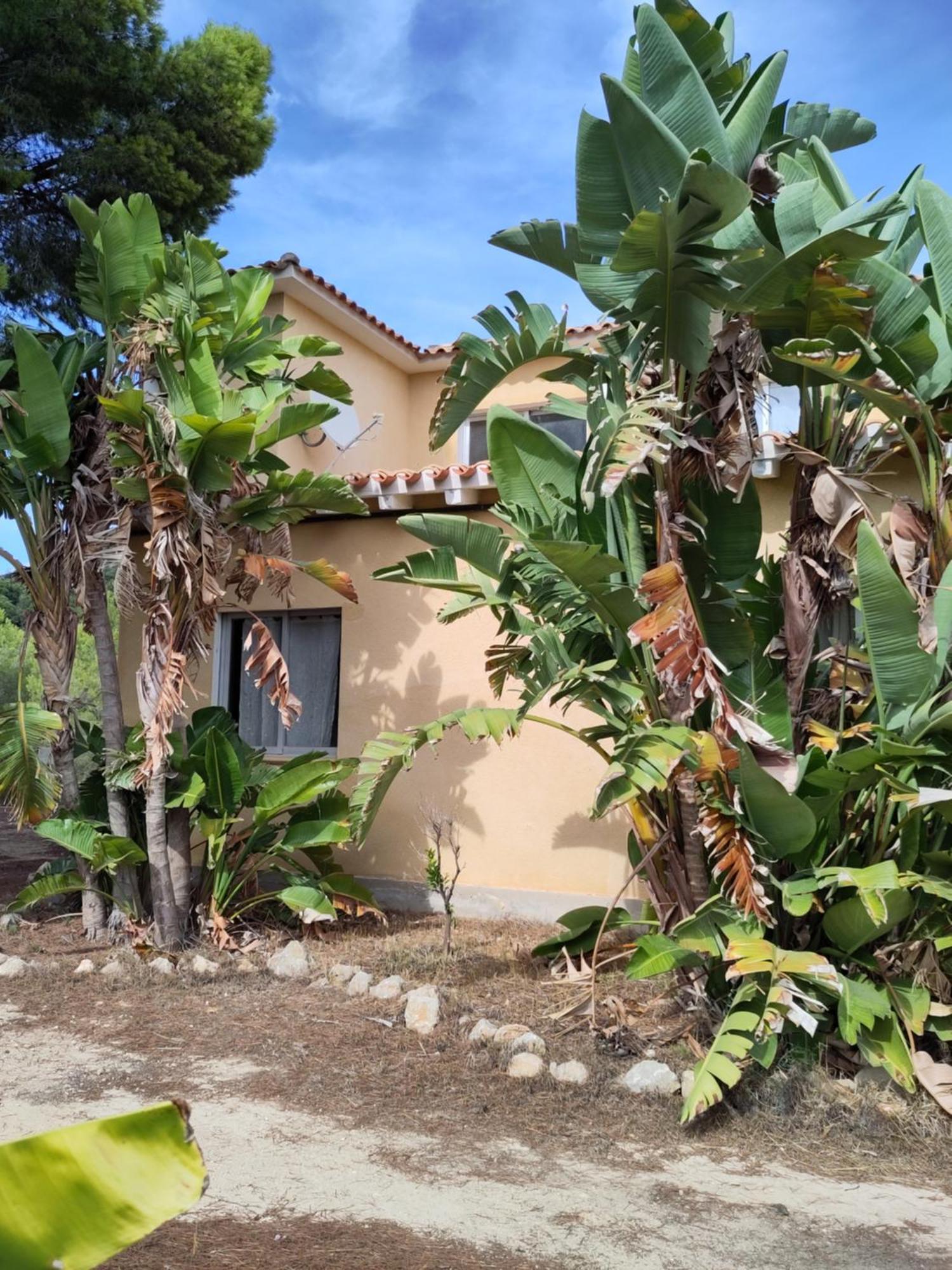 Finca Caracol Bolulla المظهر الخارجي الصورة
